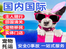 尧都航空运输国际宠物托运 【国